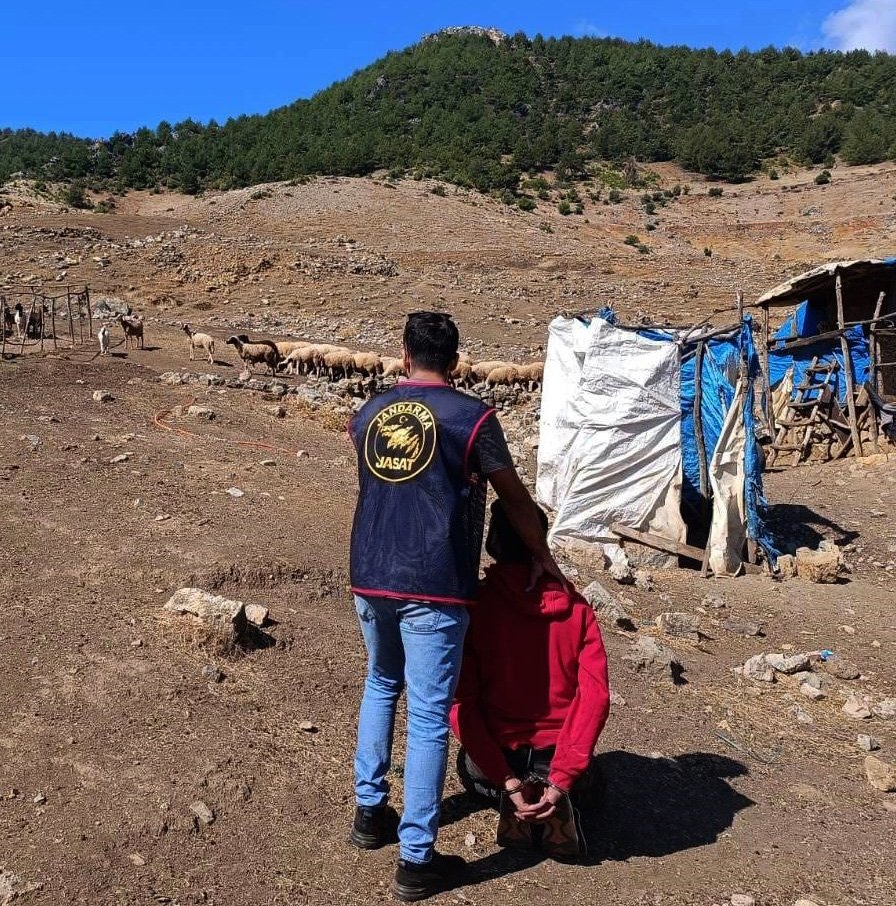 11 yıl hapisle aranıyordu! Ormanda gizlenirken yakayı ele verdi