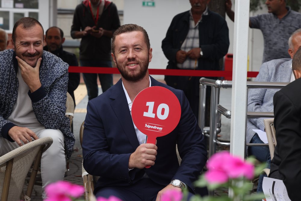 Safkan İngiliz taylar İstanbul'da düzenlenen etkinlikte yeni sahiplerini buldu