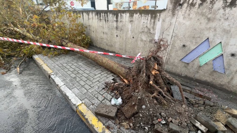 Avcılar’da fırtına çıktı, binanın çatısı yola uçtu