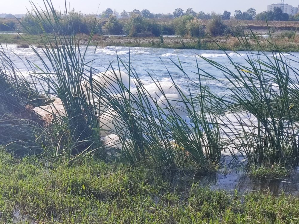 Beyaz köpük tehlikesi son olarak Dicle Nehri'nde görüldü