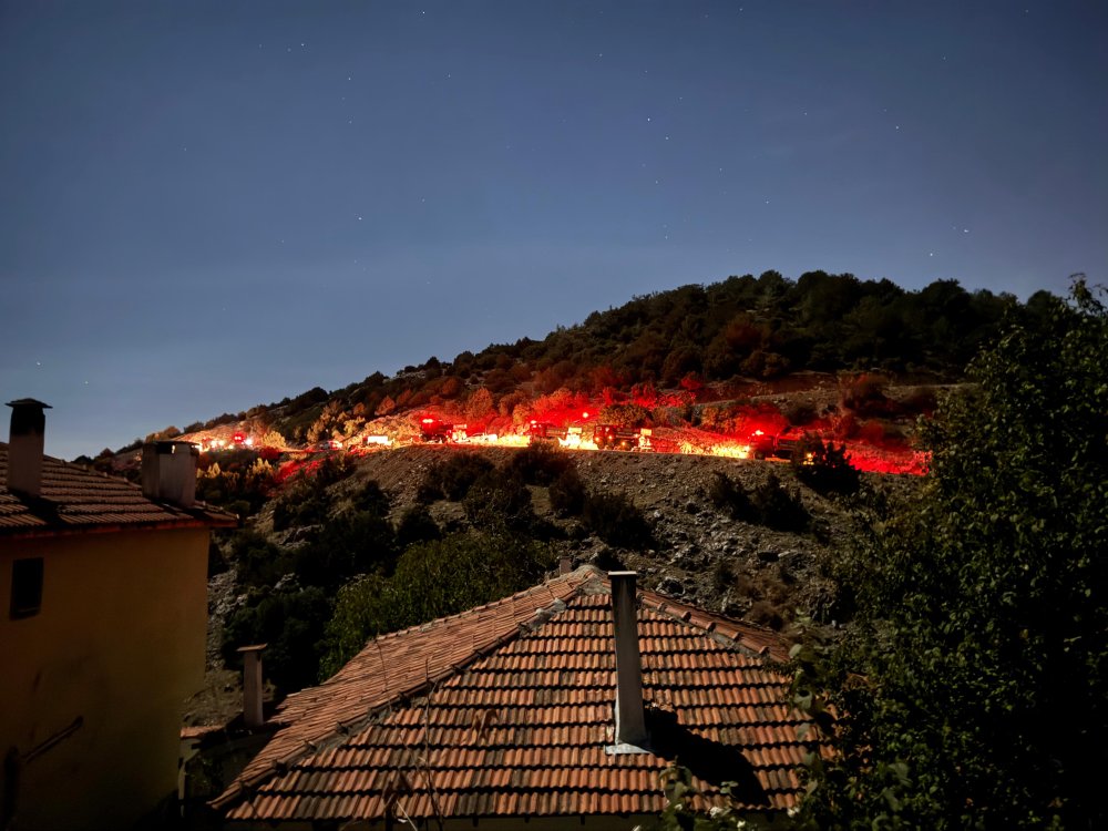 İzmir'de çıkan orman yangını kontrol altına alındı