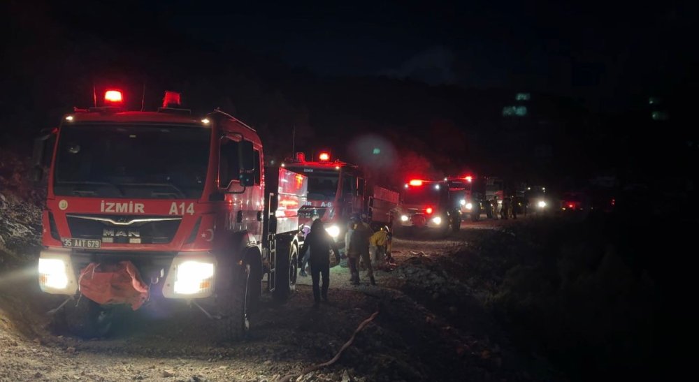 İzmir'de çıkan orman yangını kontrol altına alındı