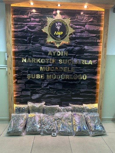 Aydın'da uyuşturucu operasyonu: 13 kilogram skunk ele geçirildi