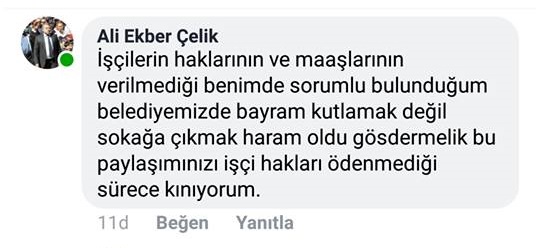 ali ekber çelik