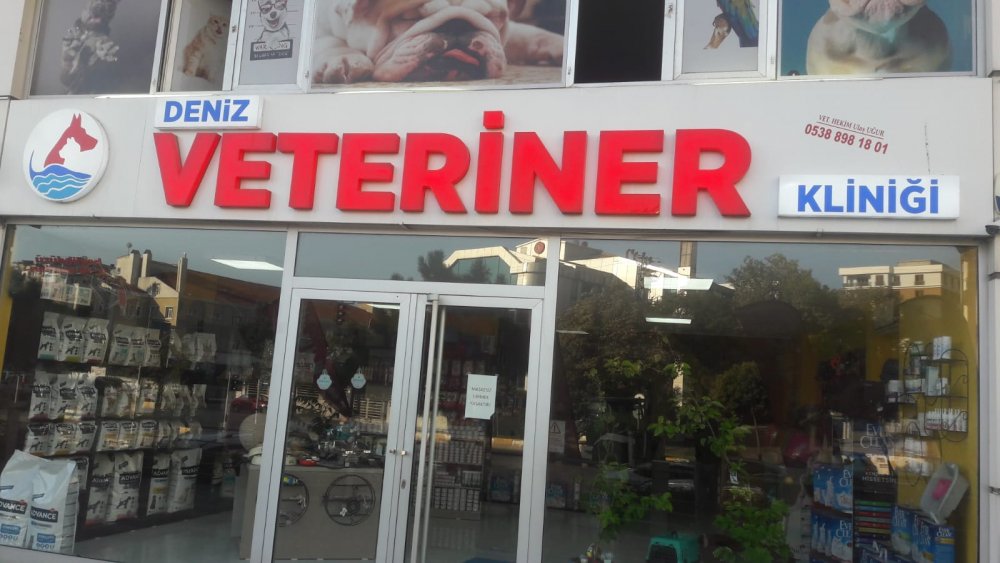 deniz veteriner