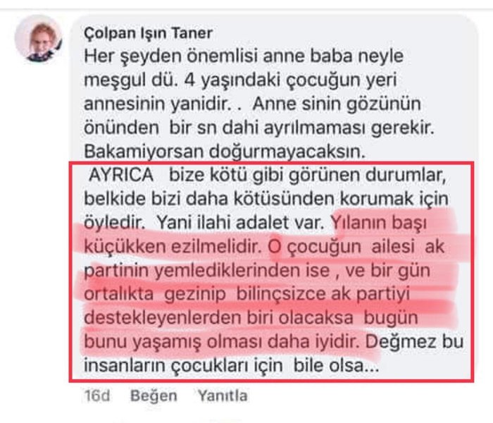 çolpan ışın taner