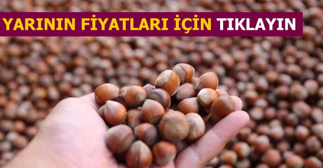 fındık fiyatları