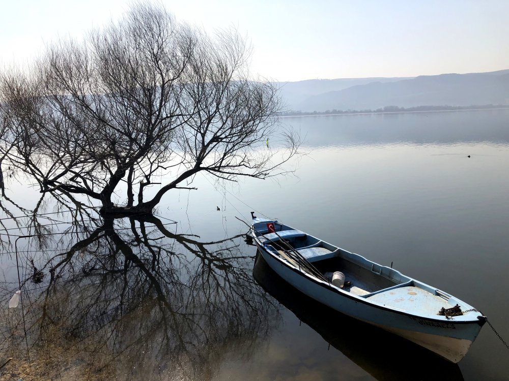 gölyazı