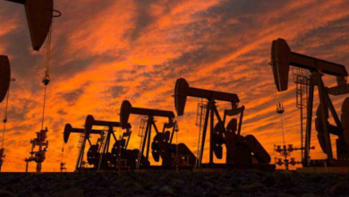BP: Küresel petrol talebi 2025 yılında zirve yapacak ve emisyon artışları sona erecek