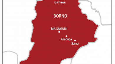 Nijerya'da onlarca kişi canlı bomba saldırısında öldürüldü