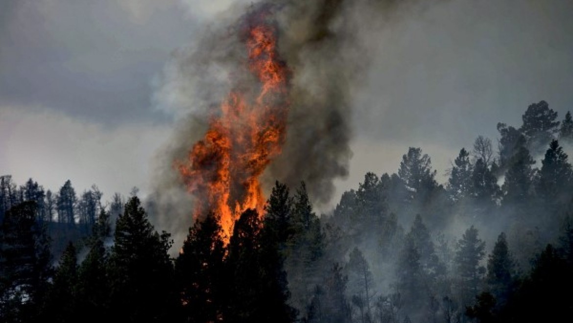 Balıkesir'deki orman yangınına müdahale sürüyor
