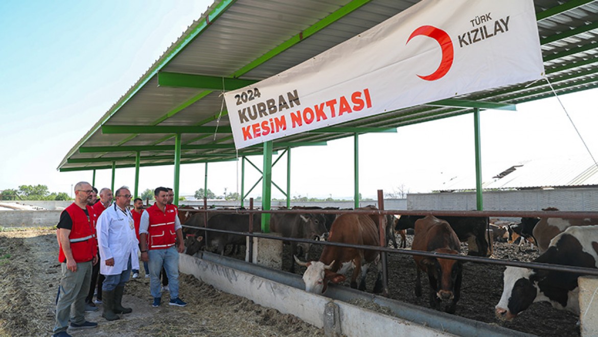 Türk Kızılay yurt içinde ve 19 ülkede kurban kesiyor