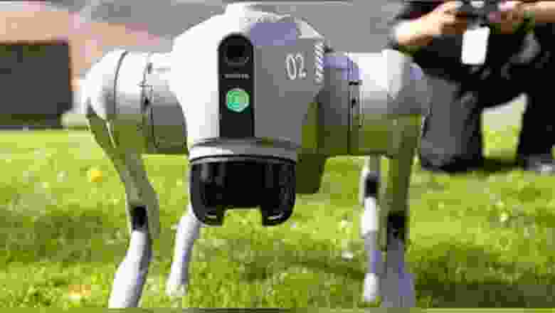 Yapay zekalı robot köpek, Hannover Fuarı'nın gözdesi oldu