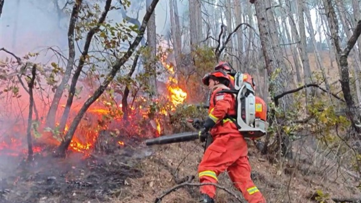 Sichuan'daki orman yangını