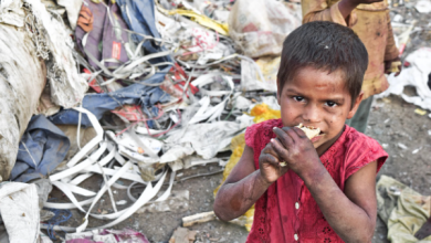 BM: Gıda krizleri endişe verici bir şekilde artıyor