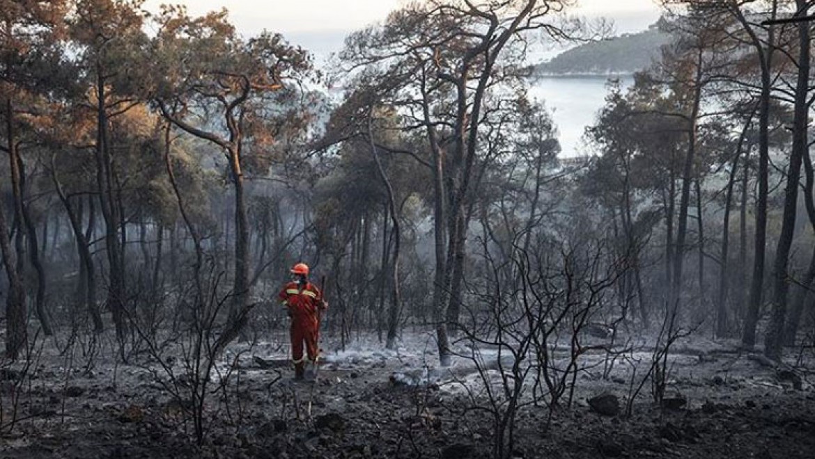 Heybeliada'daki orman yangınında soğutma çalışmaları devam ediyor