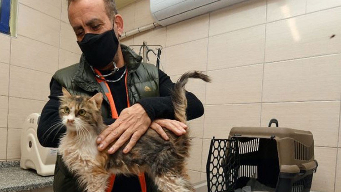 İzmir'deki depremde enkazdan çıkarılan kedilerden birini Haluk Levent sahiplendi