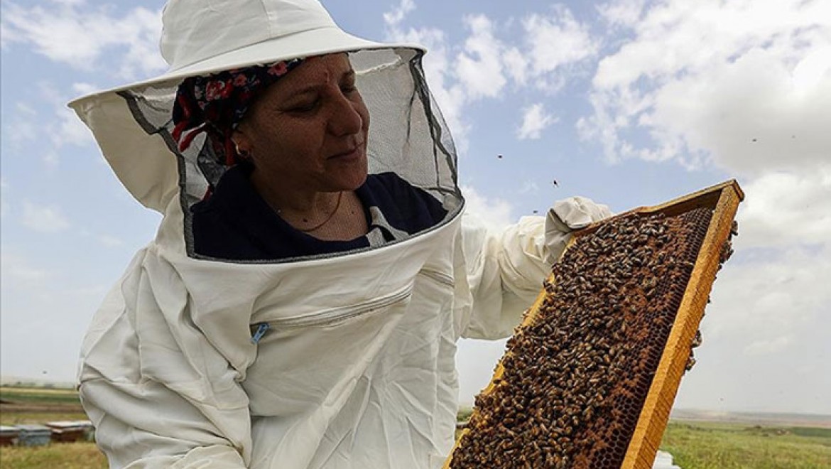 Diyarbakırlı kadın yaylaları gezerek 20 yıldır bal üretiyor