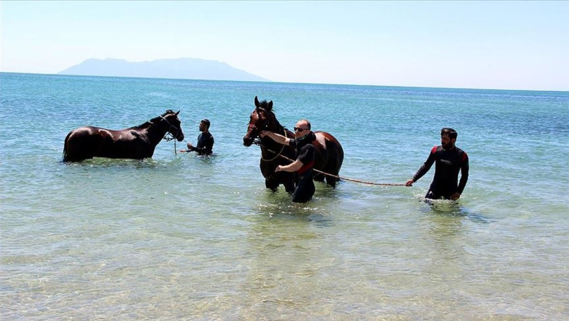 Şampiyon atlar Saros Körfezi'nde 'form' tutuyor