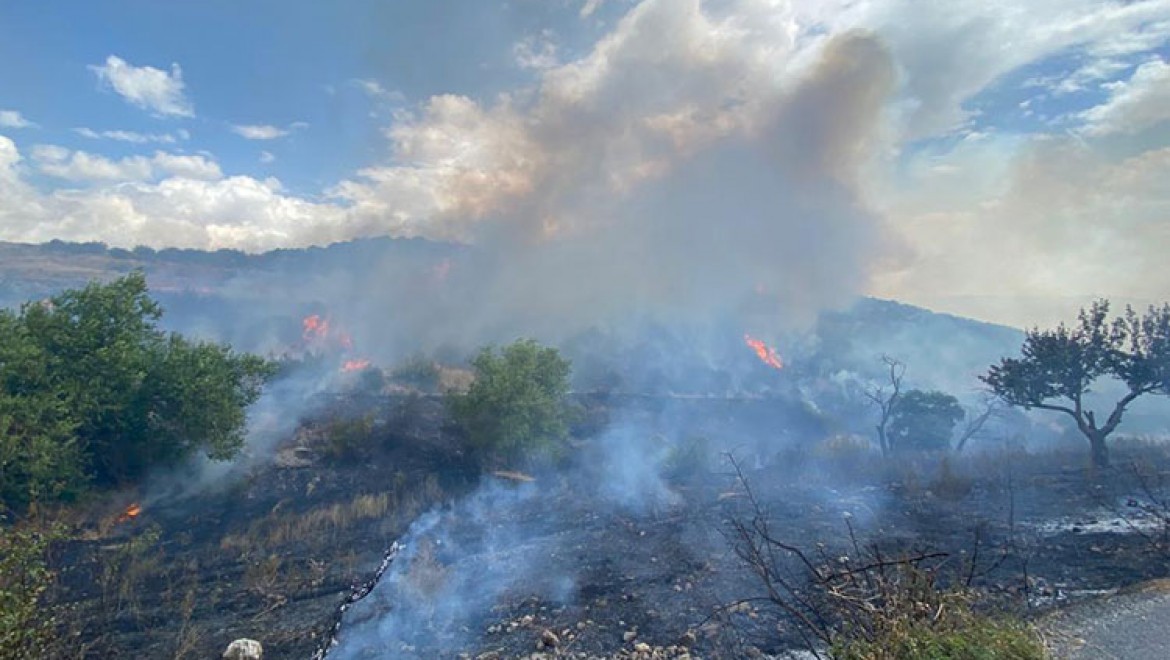 Balıkesir'in Altıeylül ilçesinde orman yangını çıktı