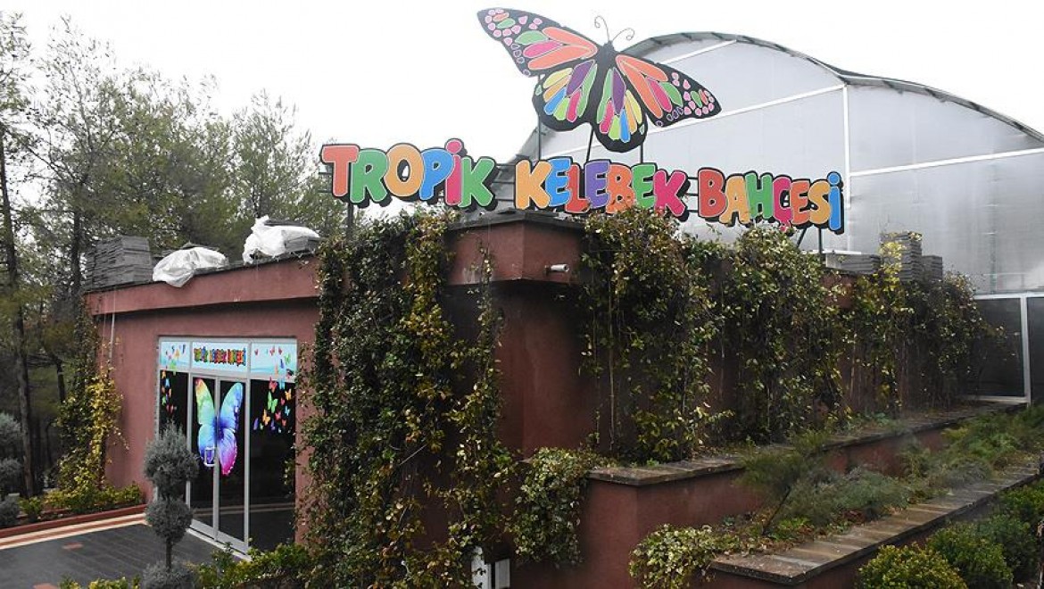 Ziyaretçi Rekoru 'Tropik Kelebek Bahçesi' İle Kırılacak