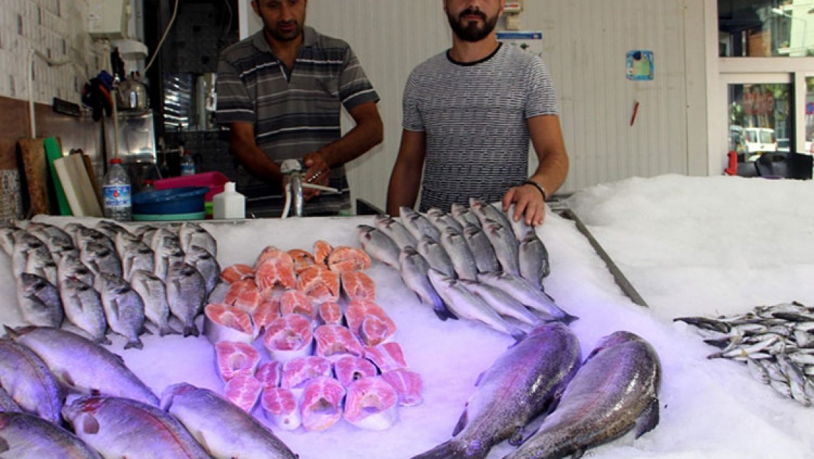 Sinop'ta balıkçılar sezonun ilk avından boş döndü