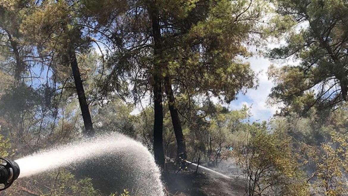 Antalya'da çıkan orman yangınları büyümeden söndürüldü