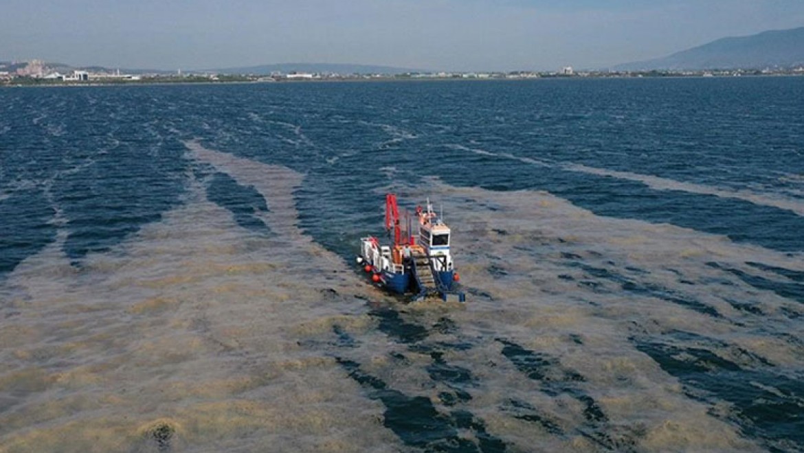 İzmit Körfezi'nden 100 ton deniz salyası temizlendi