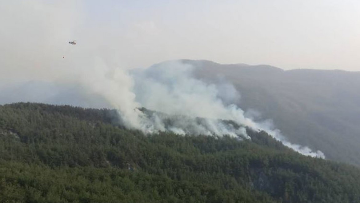 Faili Meçhul Yangınlar Ormanları Kül Etti