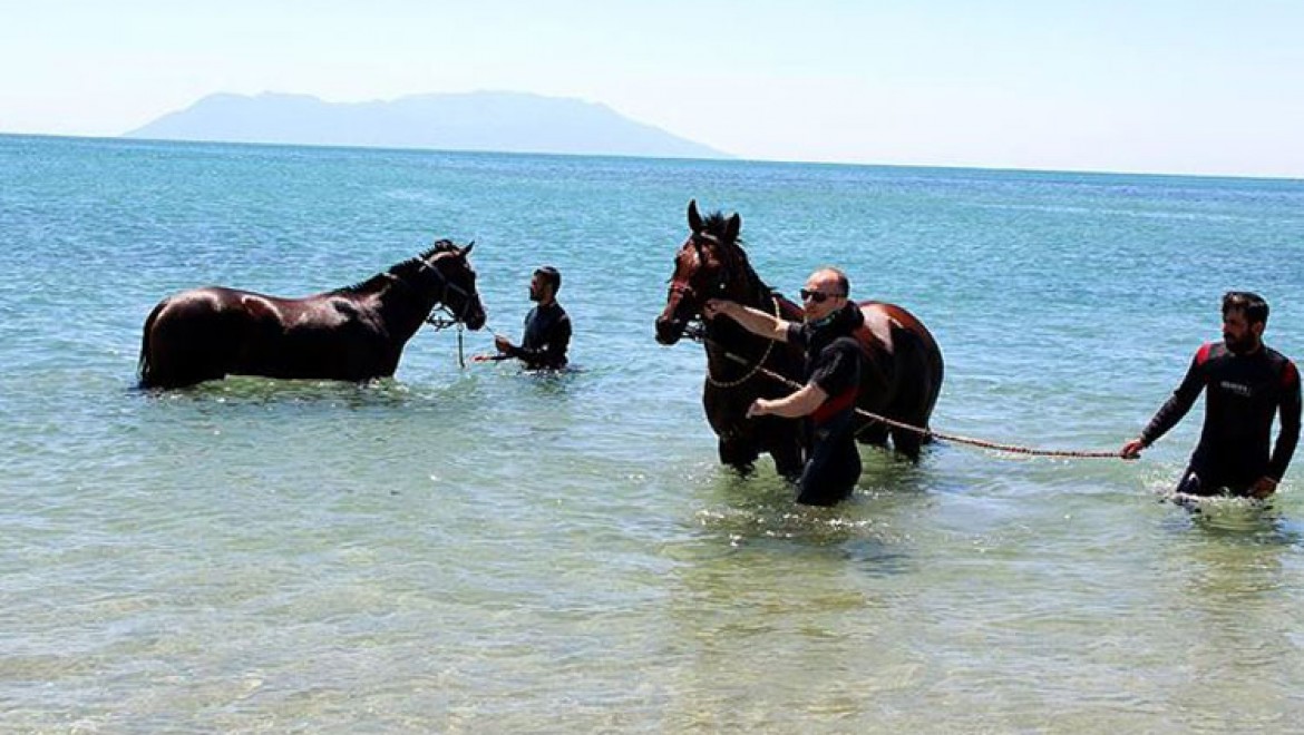 Şampiyon atlar Saros Körfezi'nde 'form' tutuyor