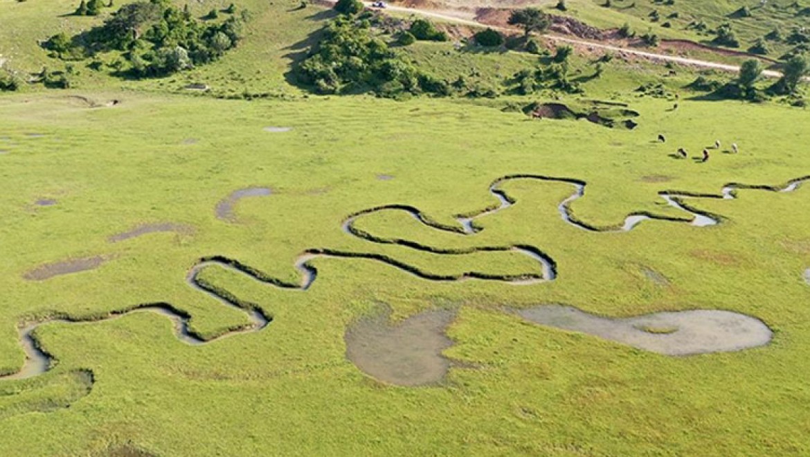 Karagöl Yaylası'ndaki menderesler son yağışların ardından suyla doldu