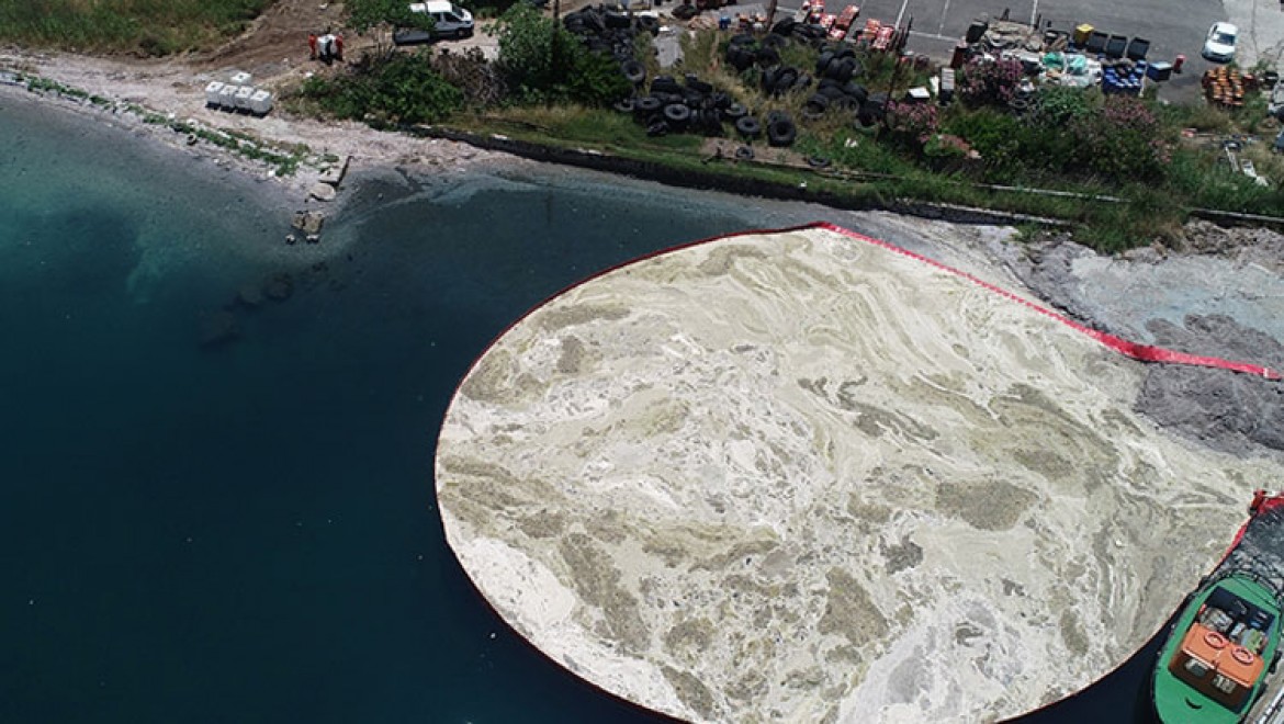 Bakan Kurum: Marmara Denizi'nden 6 günde 2 bin 166 metreküp müsilaj temizlendi
