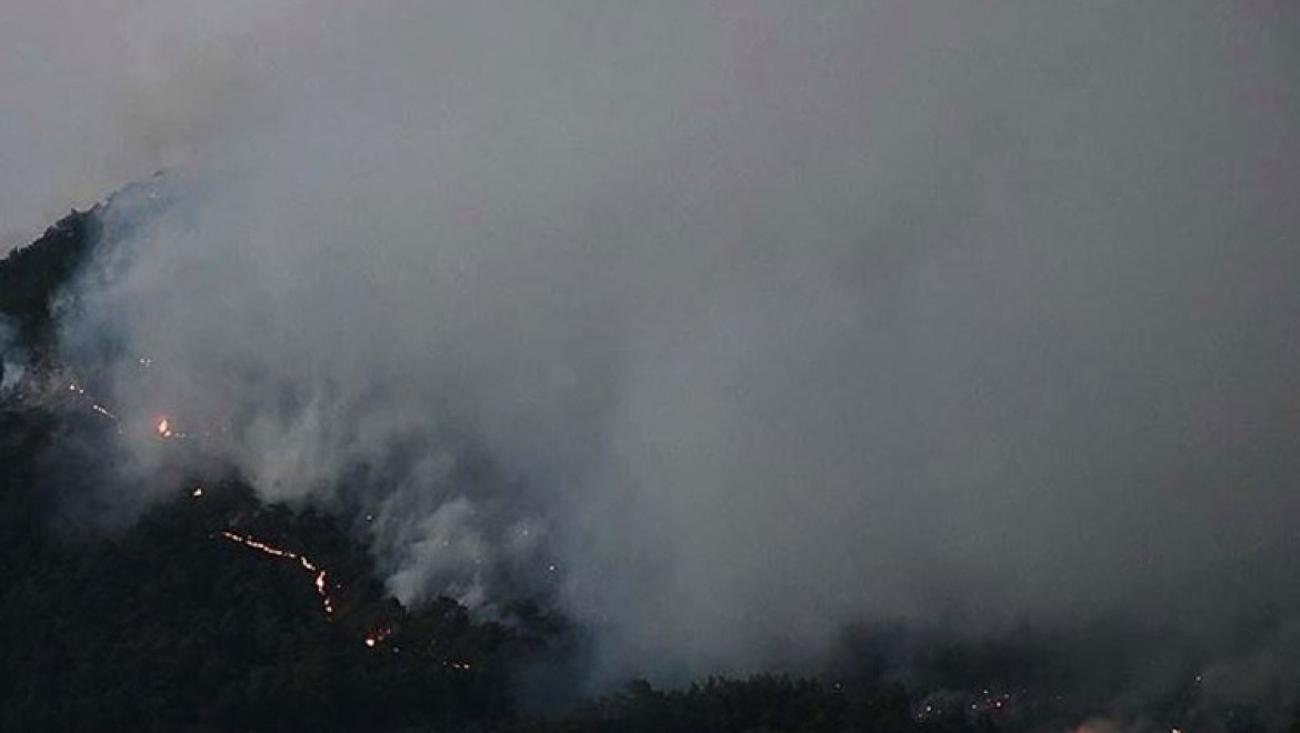 Manisa'daki orman yangını kısmen kontrol altına alındı