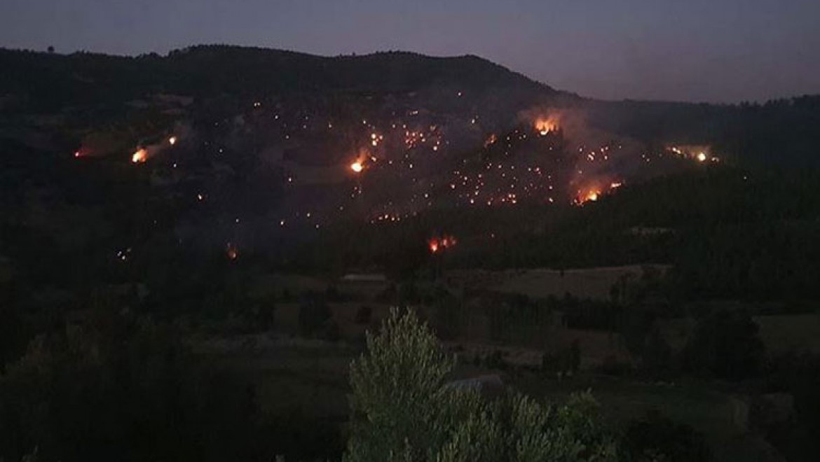 Denizli'deki orman yangını kontrol altına alındı