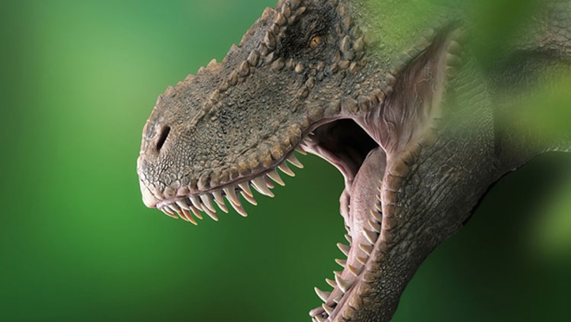 Araştırmaya göre dünyada 2,5 milyar T-rex dinozor türü yaşamış olduğu tahmin ediliyor