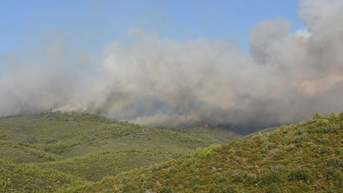 Muğla'daki orman yangınları kısmen kontrol altına alındı