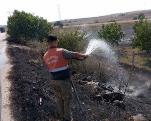 Edirne'de bir tarlada başlayıp meyve bahçesine sıçrayan anız yangını söndürüldü