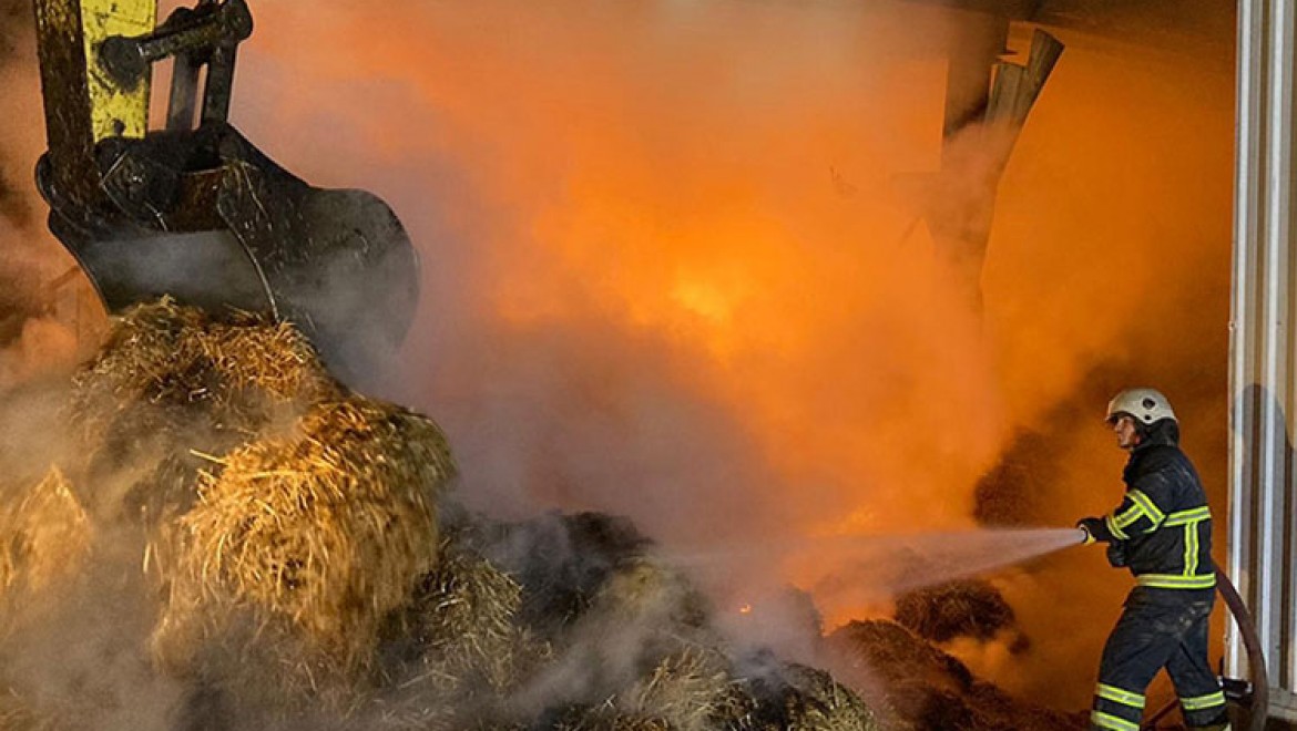 Kırklareli'nde hayvan çiftliğinde çıkan yangına müdahale ediliyor