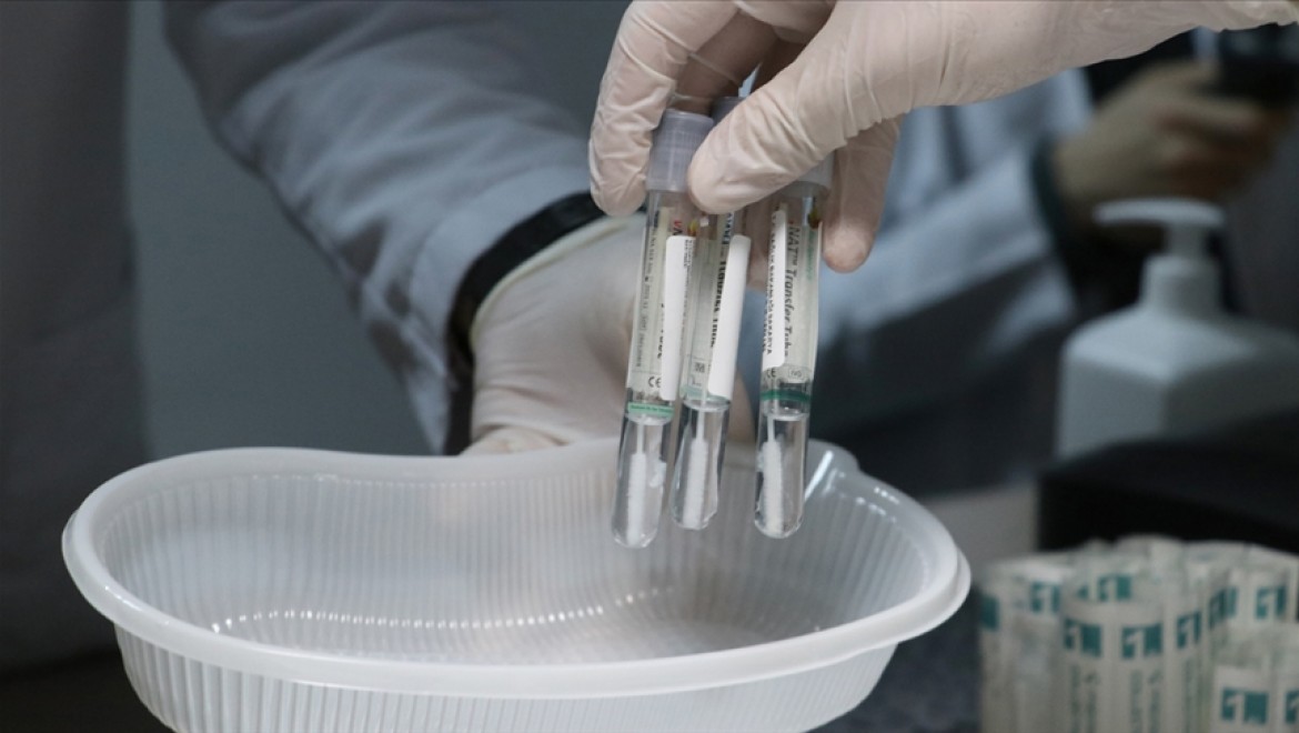Türkiye ile Sırbistan arasında PCR testi zorunluluğu kaldırıldı