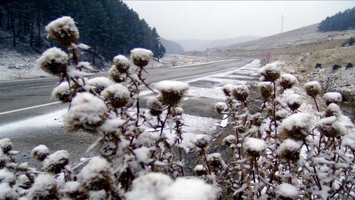 Kars'ın yüksek kesimlerinde kar yağışı etkili oldu