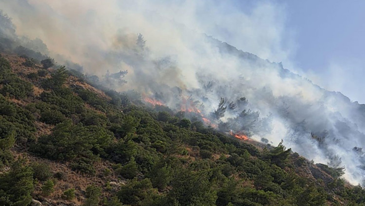 Aydın'ın Söke ilçesinde orman ve makilik alanda yangın çıktı