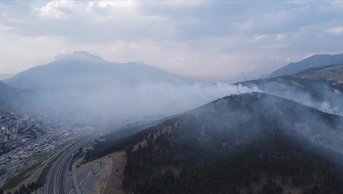 Adana'nın Pozantı ilçesinde çıkan orman yangını söndürüldü