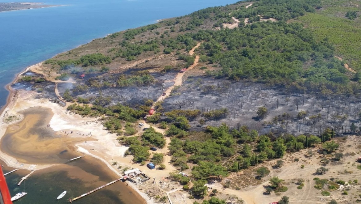 Cunda Adası'nda Orman Yangını