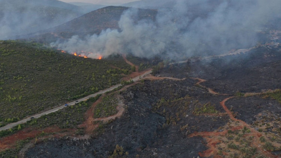 Bodrum'daki orman yangınını söndürme çalışmaları aralıksız sürüyor