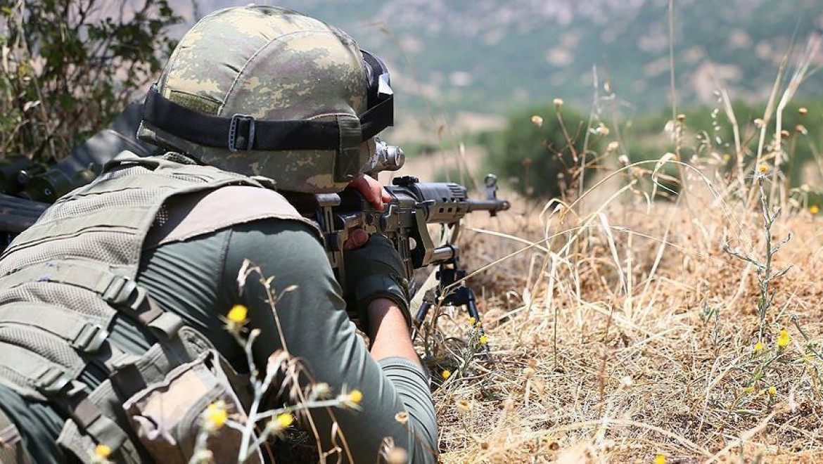 Ağrı Dağı'nda Bir PKK'lı Terörist Yakalandı