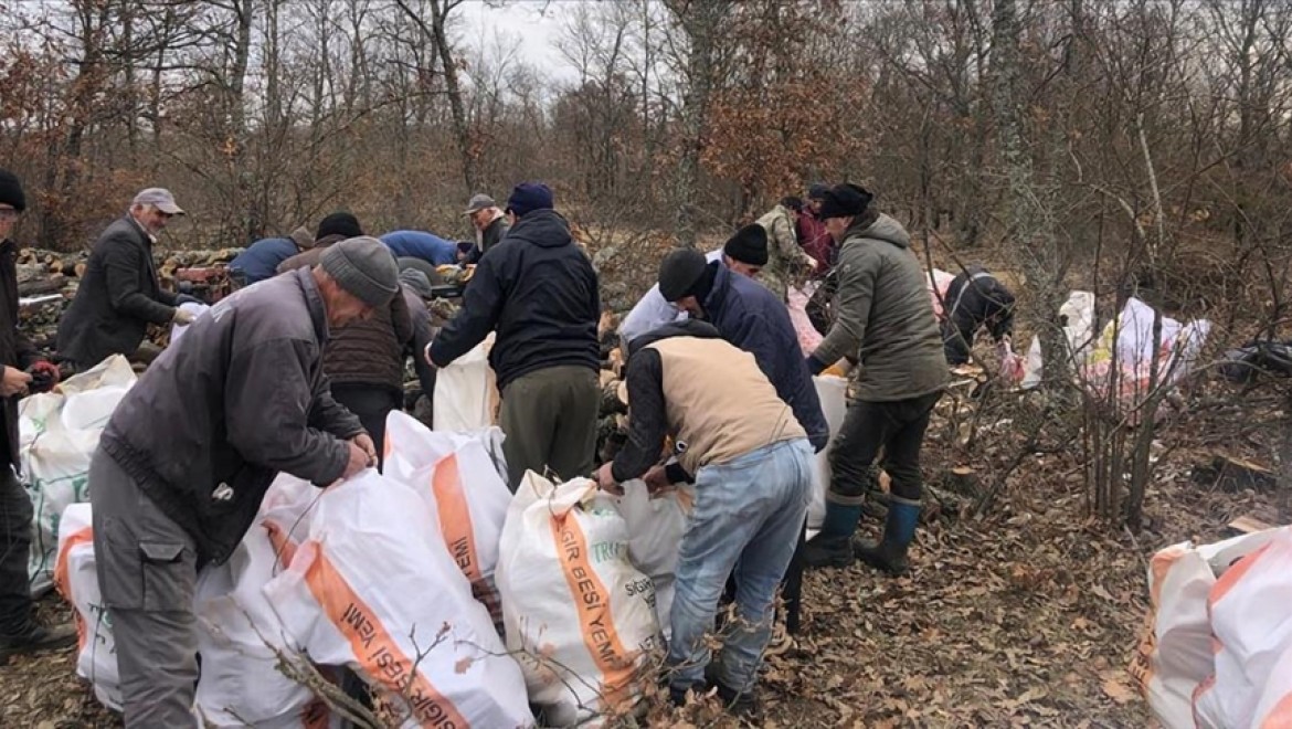 Edirne'de orman köylüleri deprem bölgelerine yakacak odun gönderdi