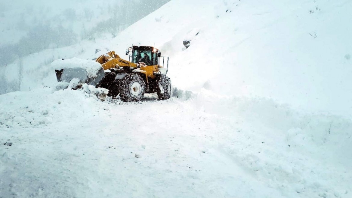 Siirt'te kardan kapanan grup köy yolları ulaşıma açıldı