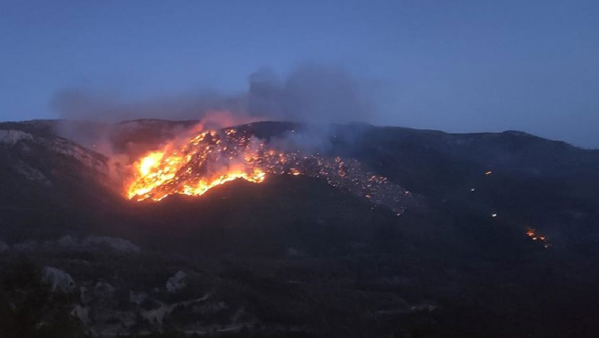 Mersin'deki iki ilçede çıkan orman yangınlarına müdahale ediliyor