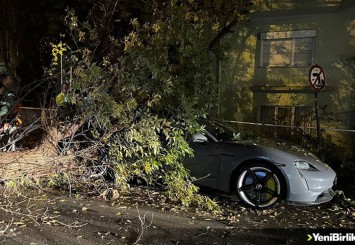 Ankara'da rüzgar nedeniyle üzerine ağaç devrilen otomobil hasar gördü