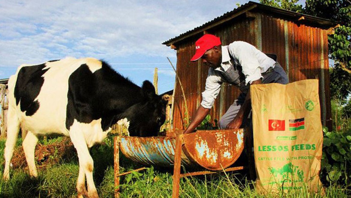 TİKA binlerce Kenyalı çiftçinin hayatını değiştirdi